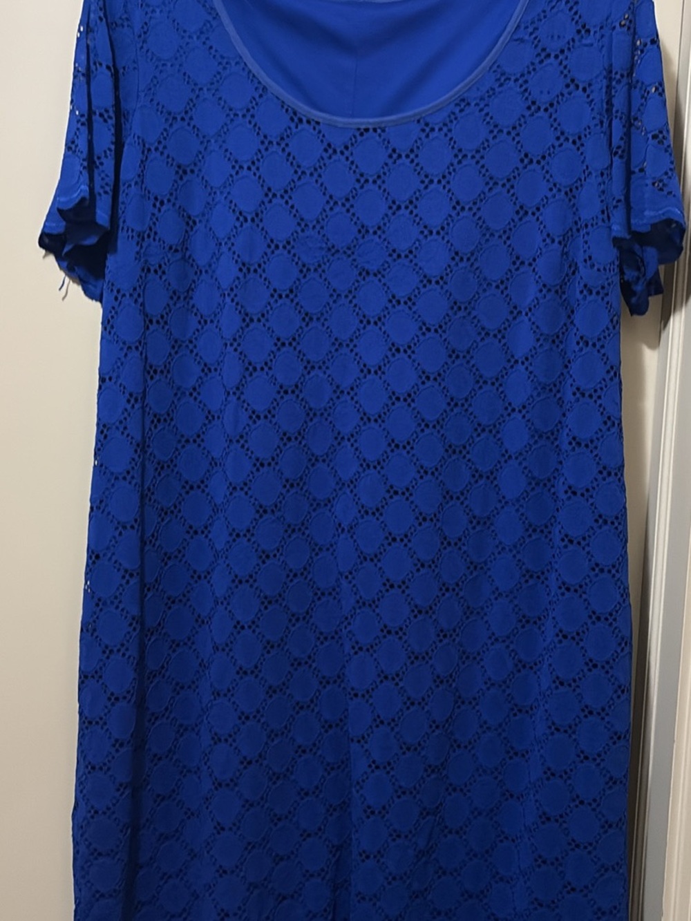 Elegant Blue Lace Overlay Women’s Dress